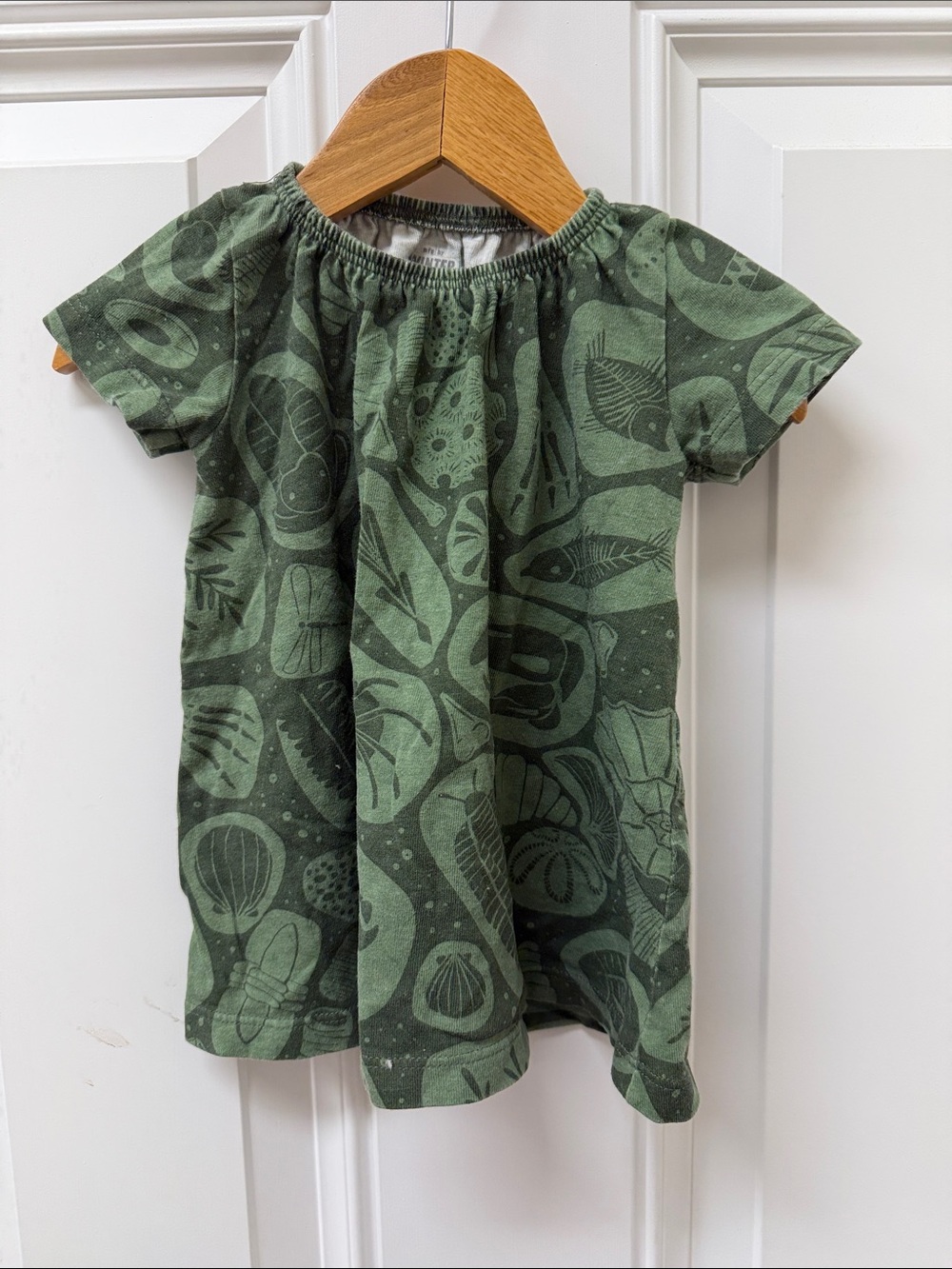 Girls' Winter Water Factory Organic Cotton Short Sleeve Fossil Dress